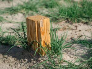 0Opalanie drewna jako metoda ochrony